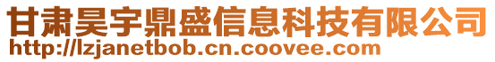 甘肅昊宇鼎盛信息科技有限公司