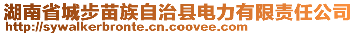 湖南省城步苗族自治縣電力有限責任公司