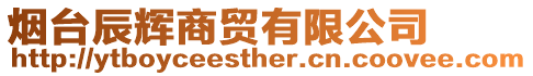 煙臺辰輝商貿有限公司