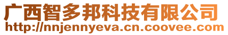 廣西智多邦科技有限公司
