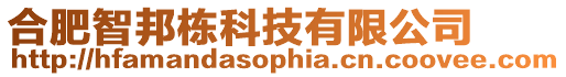 合肥智邦棟科技有限公司