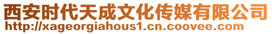 西安時(shí)代天成文化傳媒有限公司