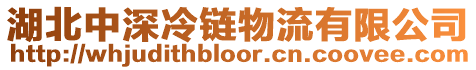 湖北中深冷鏈物流有限公司