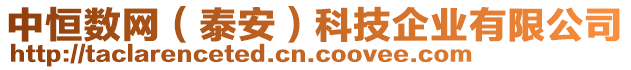 中恒數(shù)網(wǎng)（泰安）科技企業(yè)有限公司