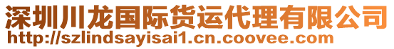 深圳川龍國際貨運代理有限公司