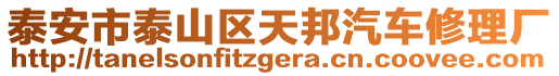 泰安市泰山區(qū)天邦汽車修理廠