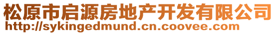 松原市啟源房地產開發有限公司