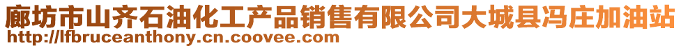 廊坊市山齊石油化工產(chǎn)品銷售有限公司大城縣馮莊加油站