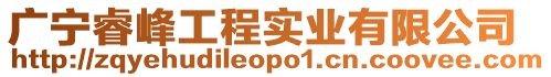 廣寧睿峰工程實業有限公司