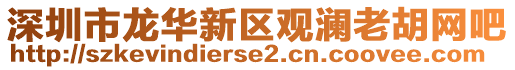 深圳市龍華新區(qū)觀瀾老胡網吧