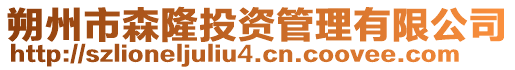 朔州市森隆投資管理有限公司