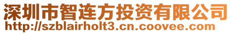 深圳市智連方投資有限公司