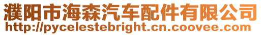 濮陽市海森汽車配件有限公司