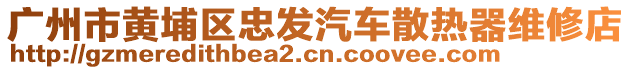 廣州市黃埔區(qū)忠發(fā)汽車散熱器維修店