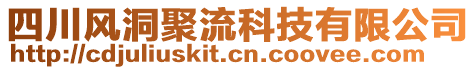 四川風洞聚流科技有限公司