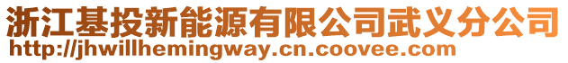 浙江基投新能源有限公司武義分公司