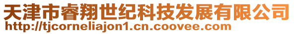 天津市睿翔世紀科技發展有限公司