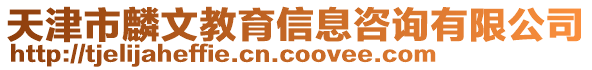 天津市麟文教育信息咨詢有限公司