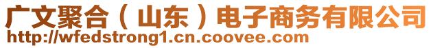 廣文聚合(山東)電子商務有限公司