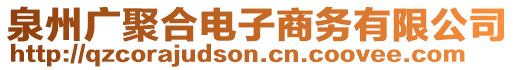泉州廣聚合電子商務有限公司