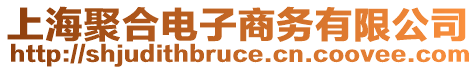 上海聚合電子商務有限公司