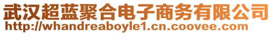 武漢超藍(lán)聚合電子商務(wù)有限公司