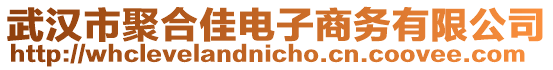 武漢市聚合佳電子商務(wù)有限公司