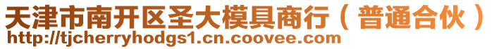 天津市南開(kāi)區(qū)圣大模具商行（普通合伙）