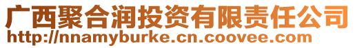 廣西聚合潤投資有限責任公司