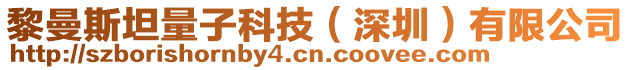 黎曼斯坦量子科技（深圳）有限公司