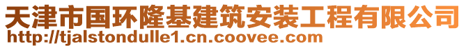 天津市國(guó)環(huán)隆基建筑安裝工程有限公司