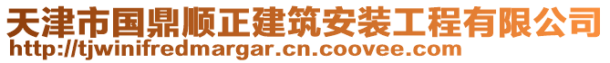 天津市國鼎順正建筑安裝工程有限公司