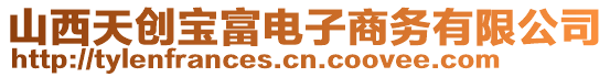 山西天創(chuàng)寶富電子商務(wù)有限公司