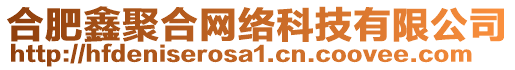 合肥鑫聚合網(wǎng)絡(luò)科技有限公司