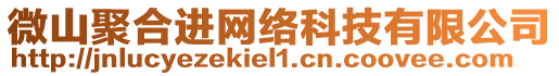 微山聚合進(jìn)網(wǎng)絡(luò)科技有限公司