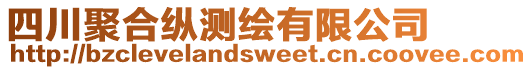 四川聚合縱測繪有限公司