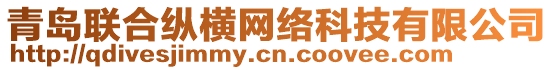 青島聯(lián)合縱橫網(wǎng)絡(luò)科技有限公司