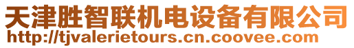 天津勝智聯(lián)機(jī)電設(shè)備有限公司