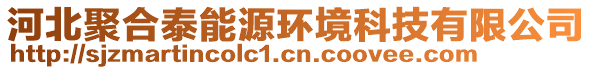 河北聚合泰能源環(huán)境科技有限公司