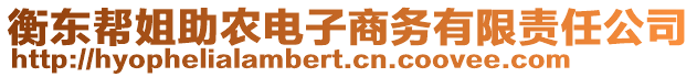 衡東幫姐助農(nóng)電子商務(wù)有限責任公司