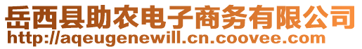 岳西縣助農(nóng)電子商務(wù)有限公司