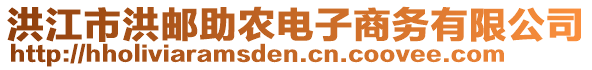 洪江市洪郵助農(nóng)電子商務(wù)有限公司