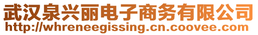 武漢泉興麗電子商務有限公司