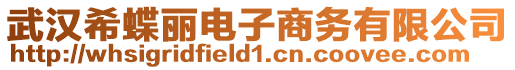 武漢希蝶麗電子商務有限公司