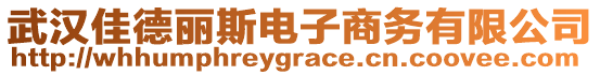 武漢佳德麗斯電子商務(wù)有限公司