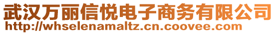 武漢萬麗信悅電子商務有限公司