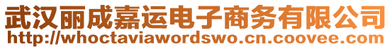 武漢麗成嘉運(yùn)電子商務(wù)有限公司