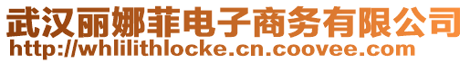武漢麗娜菲電子商務(wù)有限公司
