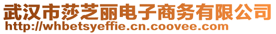 武漢市莎芝麗電子商務有限公司