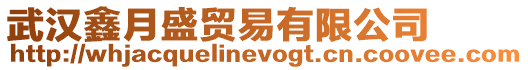 武漢鑫月盛貿(mào)易有限公司